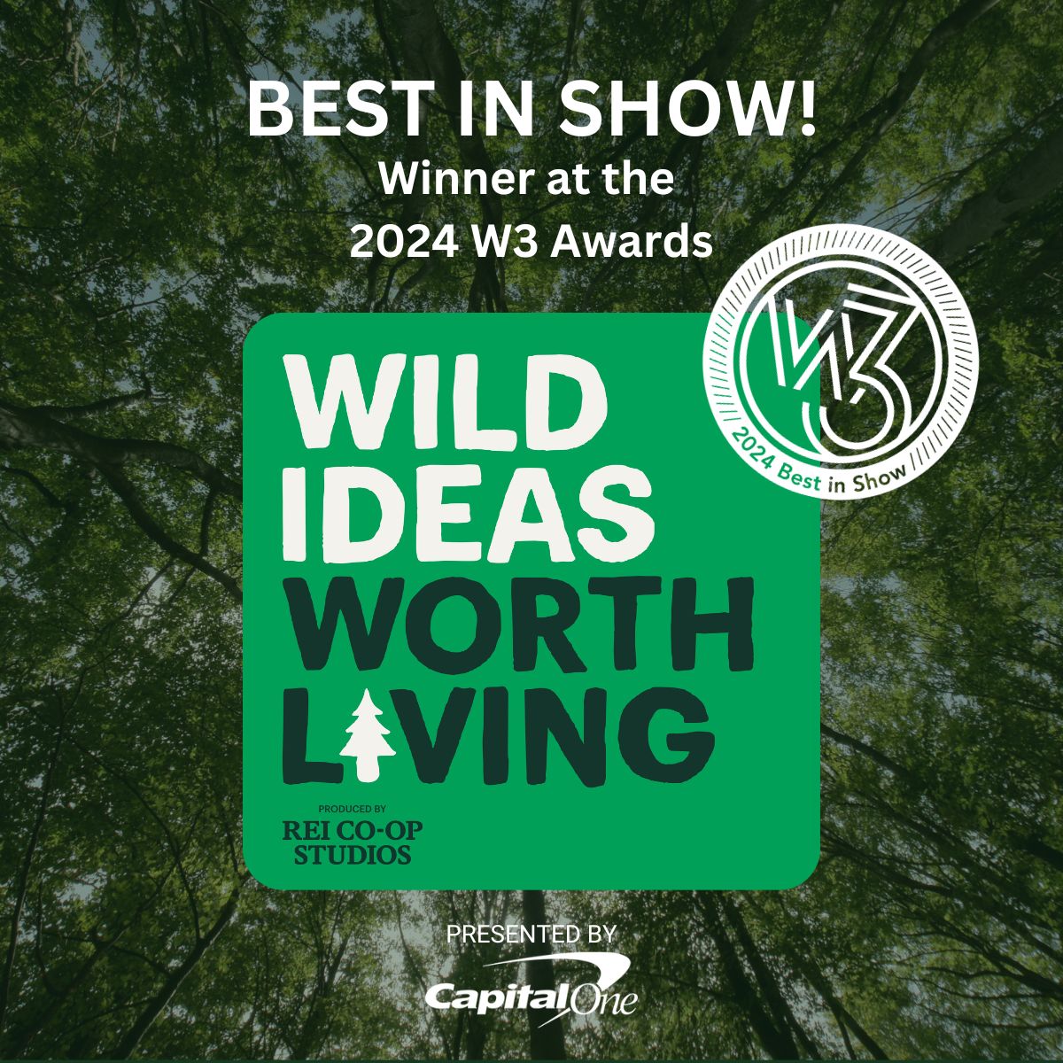 W3 Awards winner badge